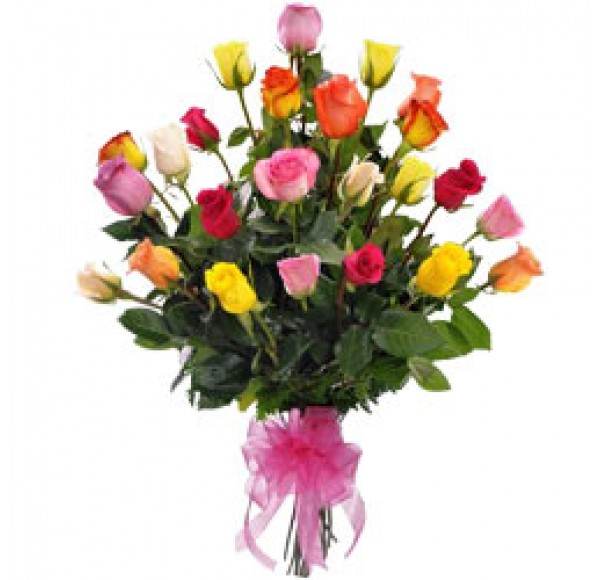 Classic Colorful Two Dozen Mixed Roses with Affection